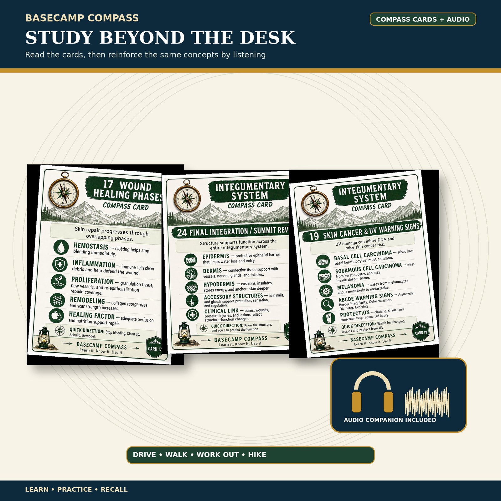 Integumentary System Compass Cards + Audio Companion - Image 2