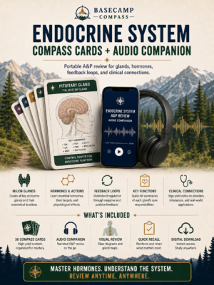 Endocrine System Compass Cards + Audio Companion