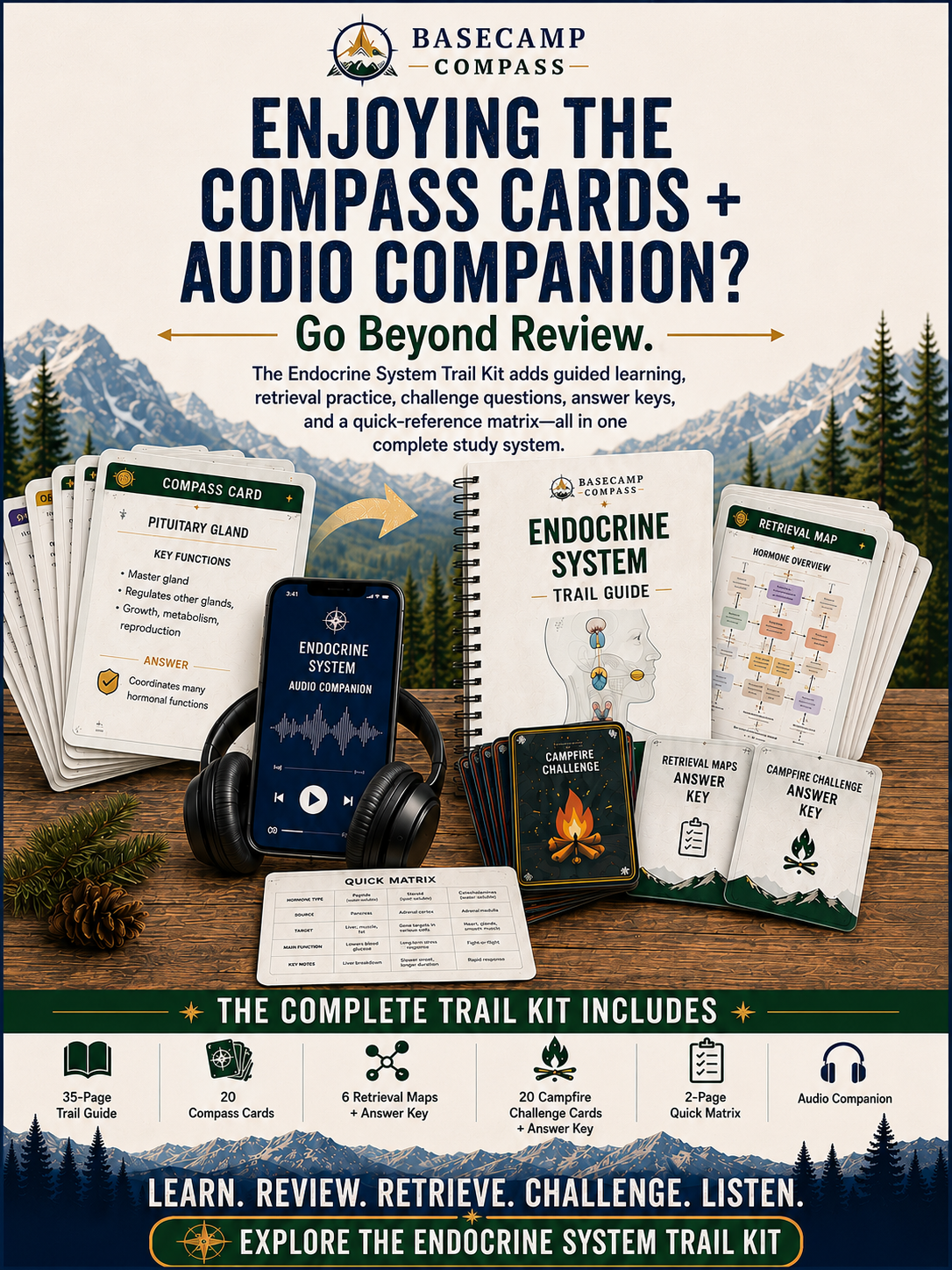 Endocrine System Compass Cards + Audio Companion - Image 4