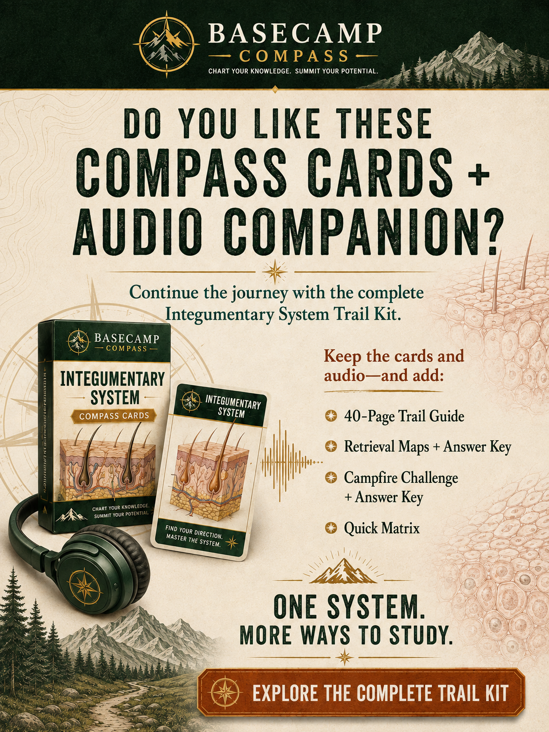 Integumentary System Compass Cards + Audio Companion - Image 4