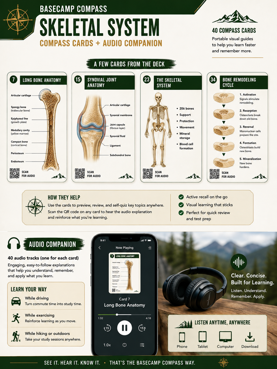 Skeletal System Compass Cards + Audio Companion | 40 Visual A&P Review Cards - Image 3