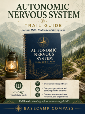 Autonomic Nervous System Trail Guide