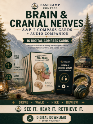 Brain & Cranial Nerves Compass Cards + Audio Companions