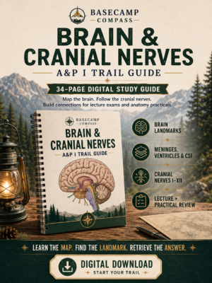 Brain & Cranial Nerves Trail Guide