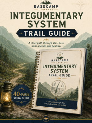 Integumentary System Trail Guide