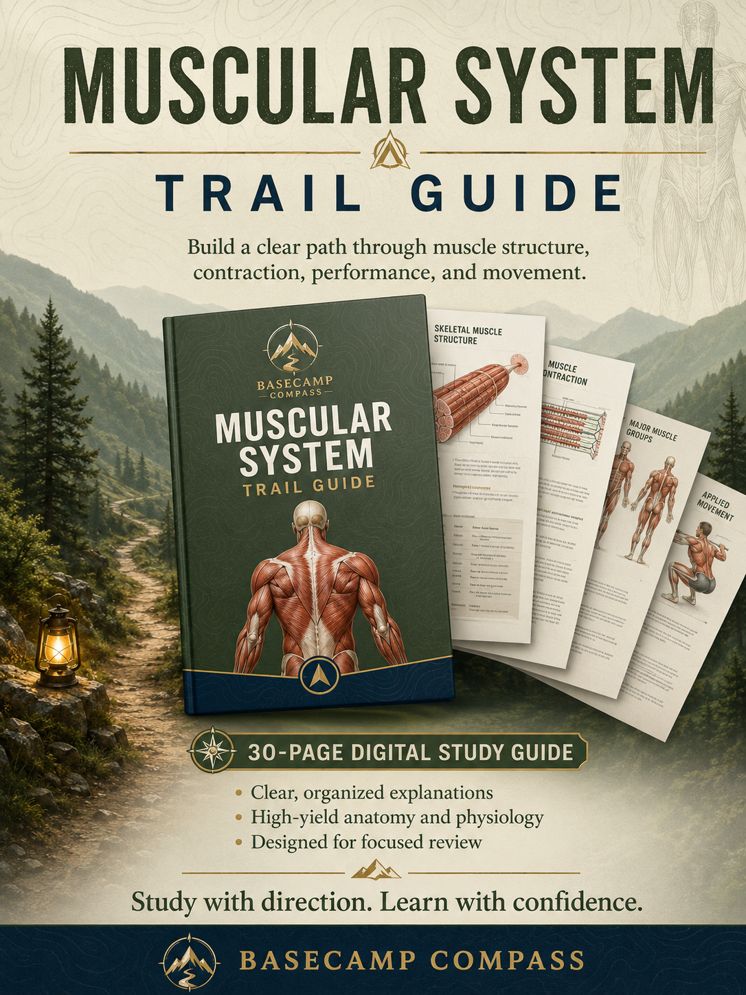 Muscular System Trail Guide