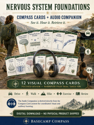 Nervous System Foundations Compass Cards + Audio Companion