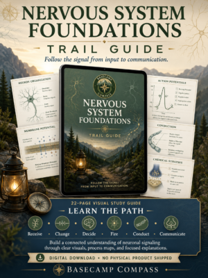 Nervous System Foundations Trail Guide