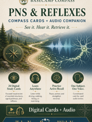 Compass Cards