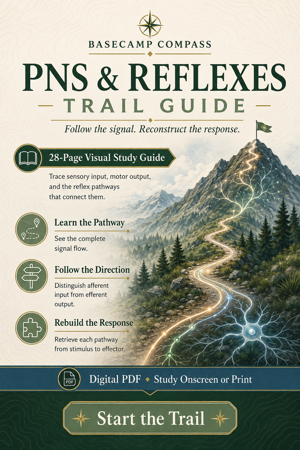 PNS Reflexes Trail Guide