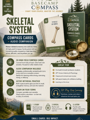 Skeletal System Compass Cards + Audio Companion | 40 Visual A&P Review Cards