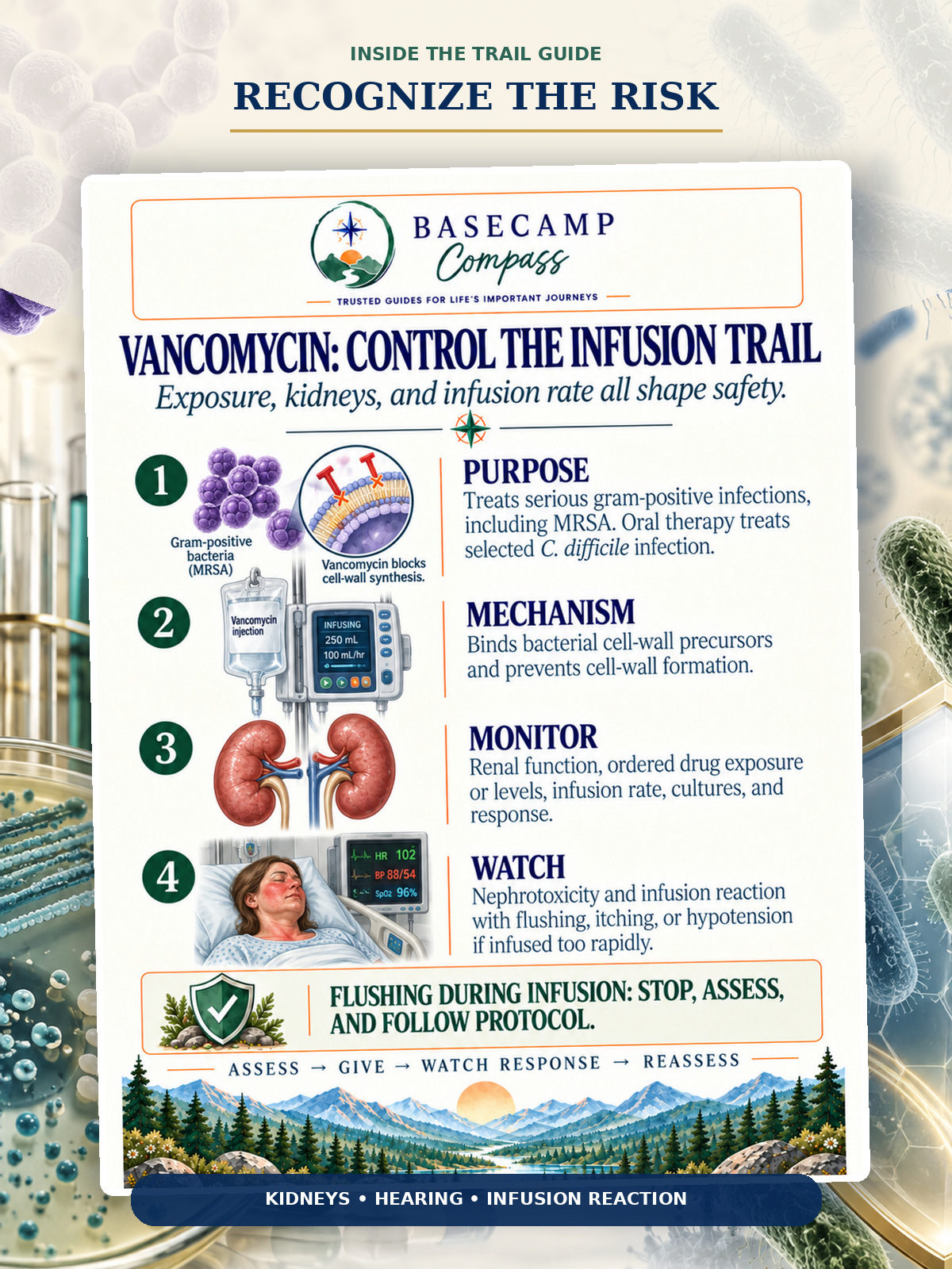 Anti-Infective Drugs Trail Guide - Image 3