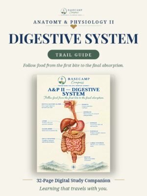 Digestive System Trail Guide storefront | Basecamp Compass