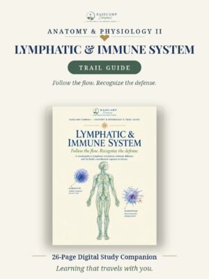 Lymphatic and Immune System Trail Guide storefront | Basecamp Compass