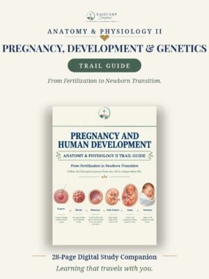 Pregnancy, Human Development & Genetics Trail Guide storefront | Basecamp Compass