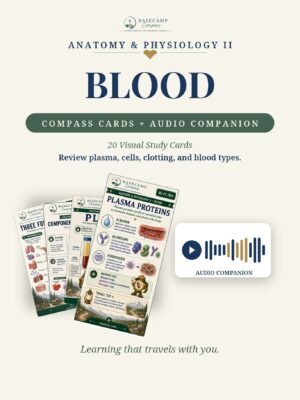 Blood Compass Cards + Audio Companion storefront | Basecamp Compass