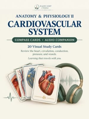 Cardiovascular System Compass Cards + Audio Companion storefront | Basecamp Compass