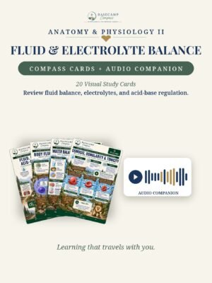 Fluid, Electrolyte & Acid-Base Balance Compass Cards + Audio Companion storefront | Basecamp Compass