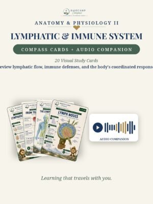 Lymphatic & Immune System Compass Cards + Audio Companion storefront | Basecamp Compass