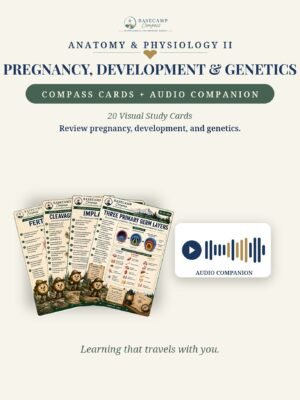 Pregnancy, Human Development & Genetics Compass Cards + Audio Companion storefront | Basecamp Compass