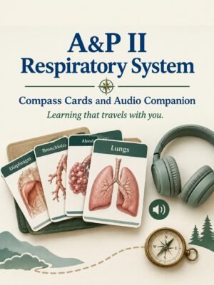 A&P II Respiratory System Compass Cards and Audio Companion