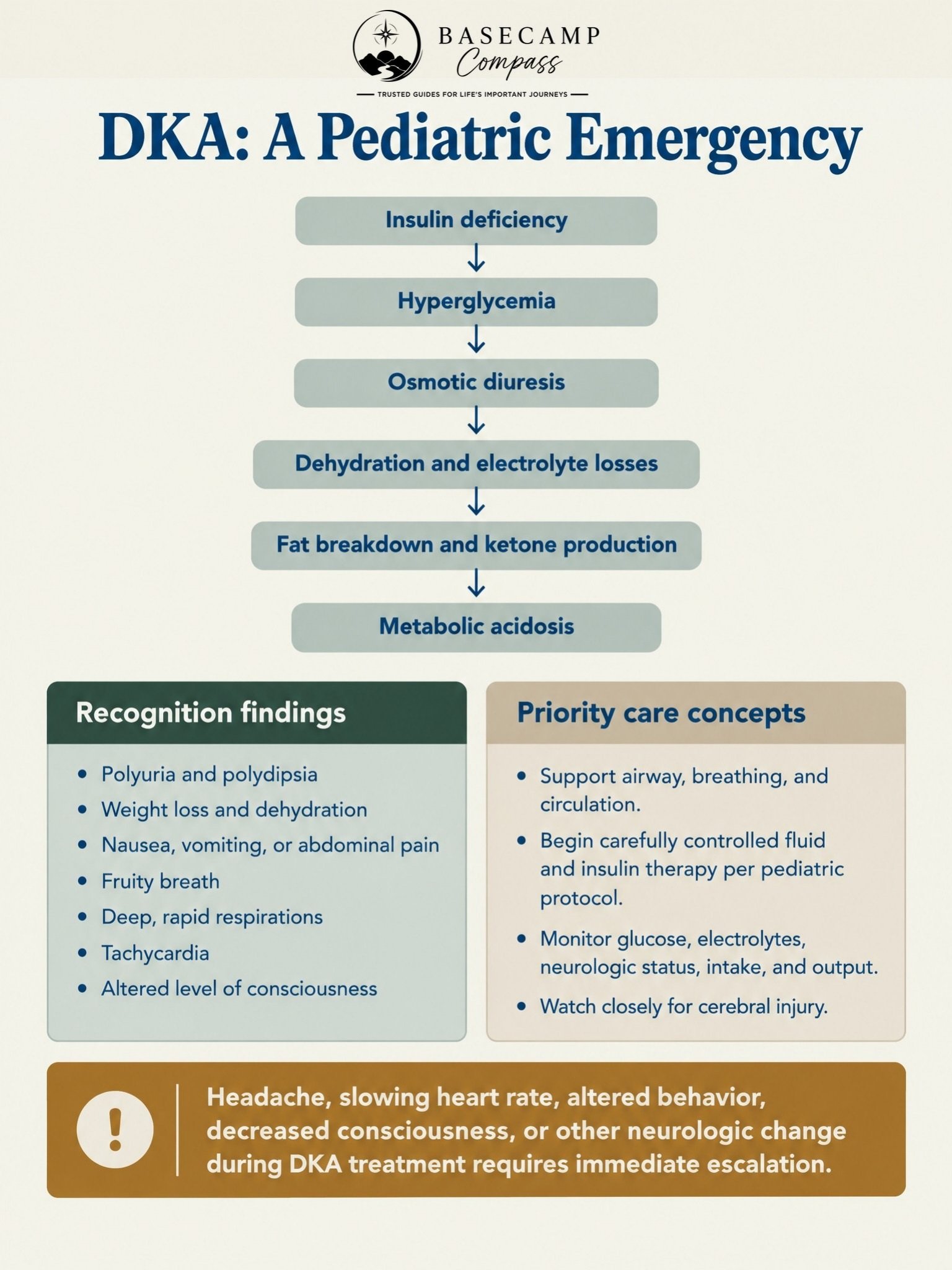 Pediatric Endocrine and Metabolic Disorders Trail Guide - Image 3