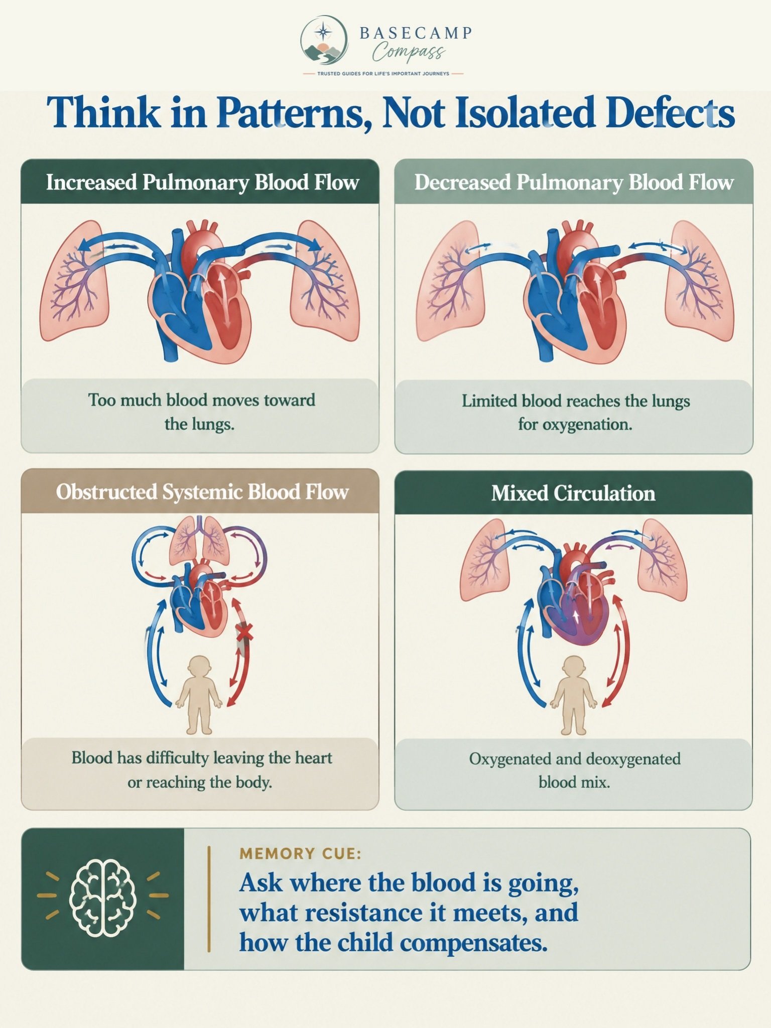Pediatric Cardiovascular and Hematologic Disorders Trail Guide - Image 2
