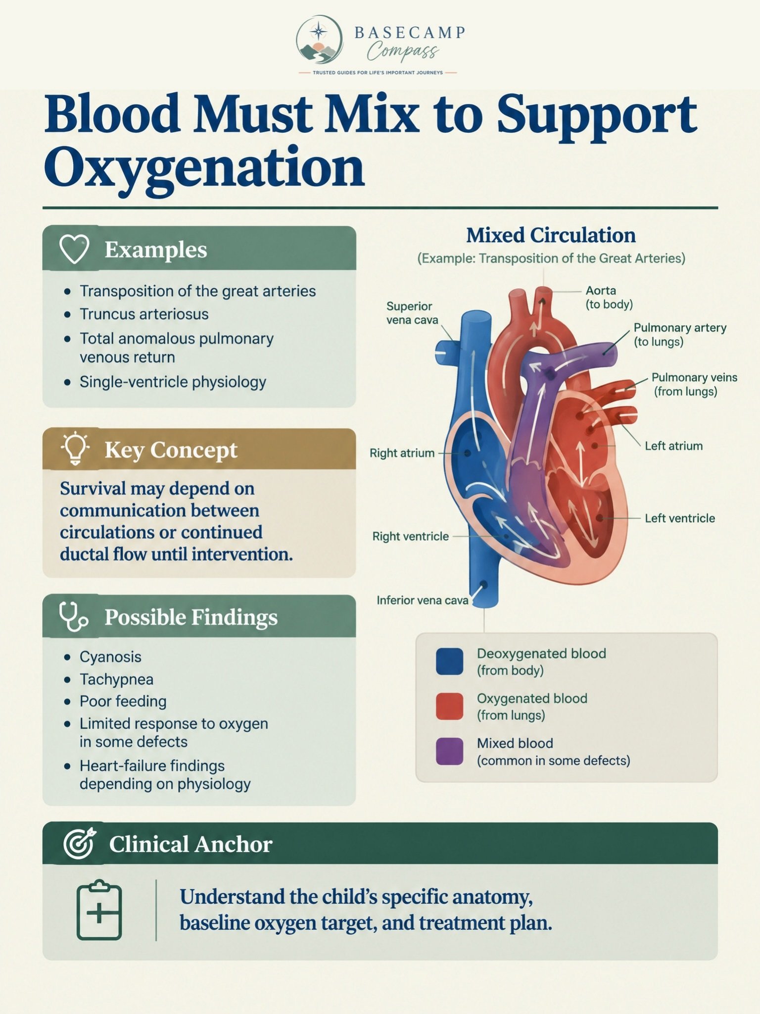 Pediatric Cardiovascular and Hematologic Disorders Trail Guide - Image 3