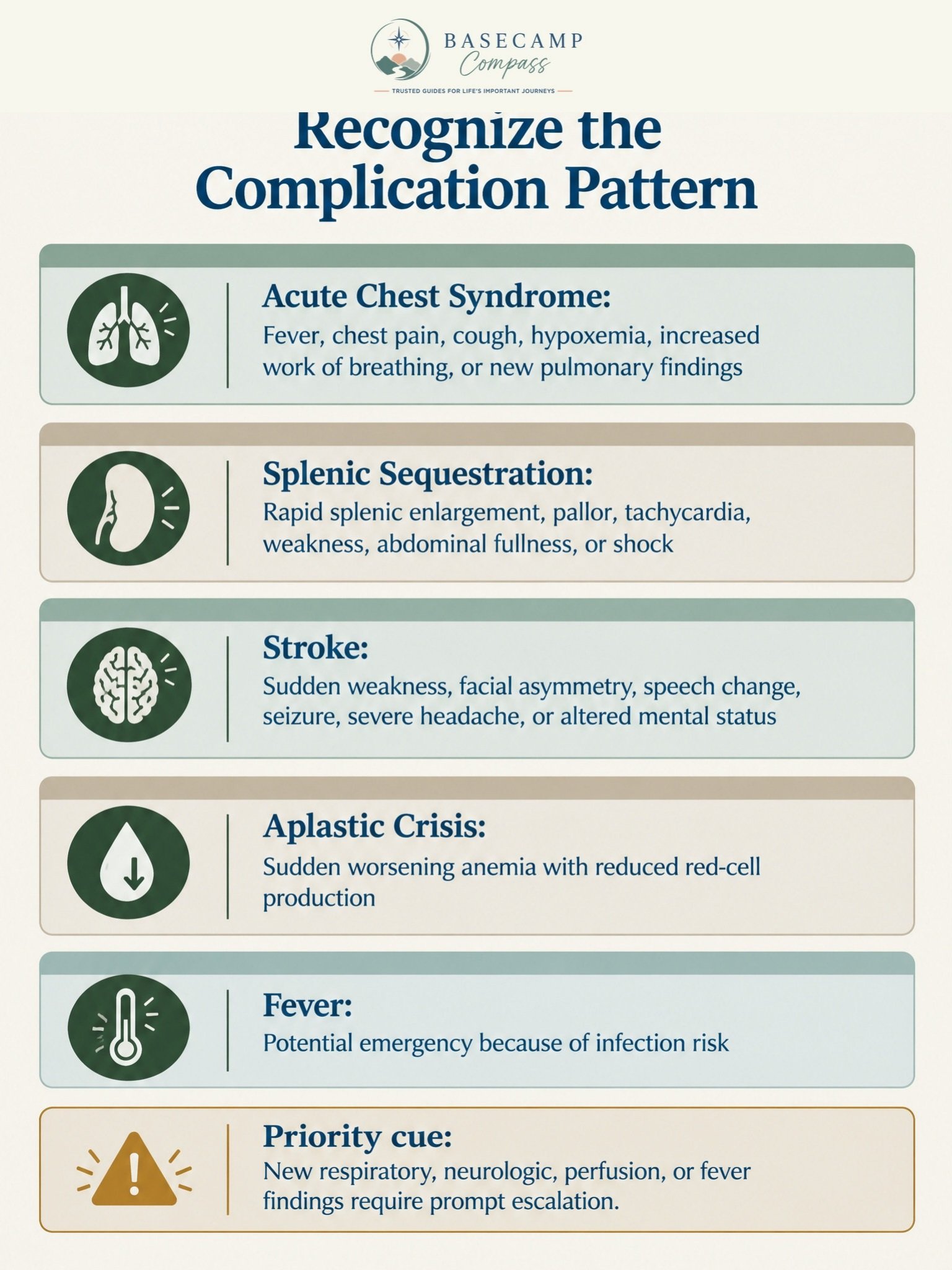 Pediatric Cardiovascular and Hematologic Disorders Trail Guide - Image 4