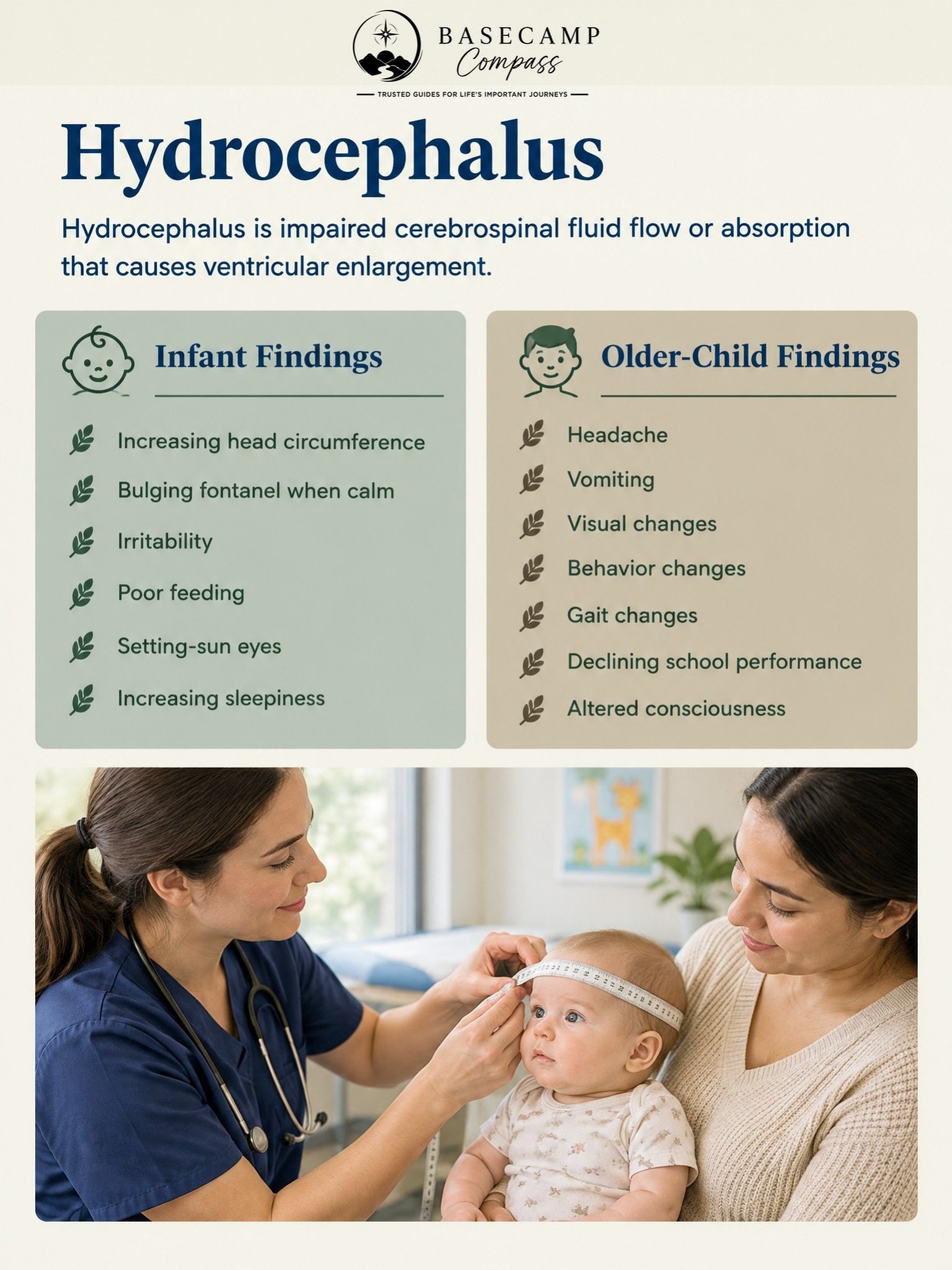 Pediatric Neurologic Disorders Trail Guide - Image 4