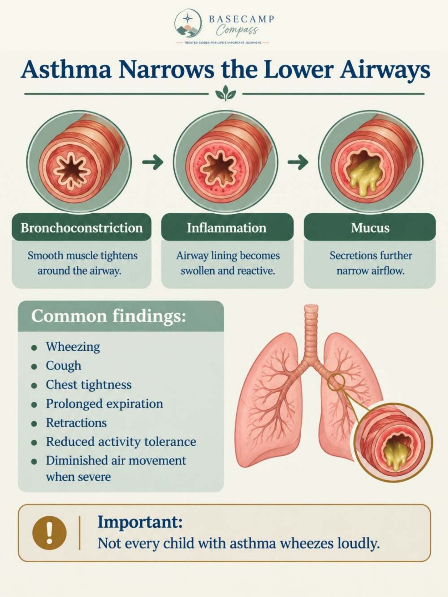 Pediatric Respiratory Disorders Trail Guide - Image 3