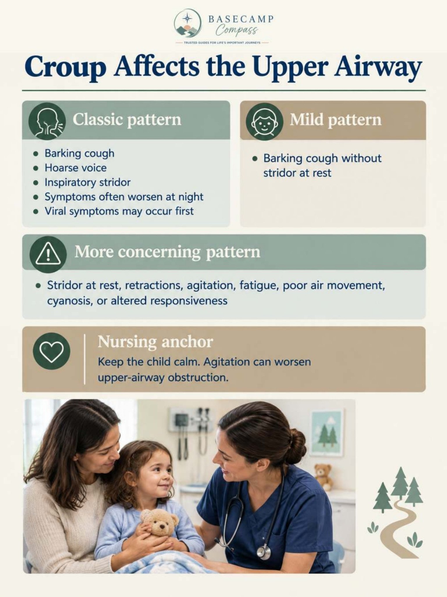 Pediatric Respiratory Disorders Trail Guide - Image 4
